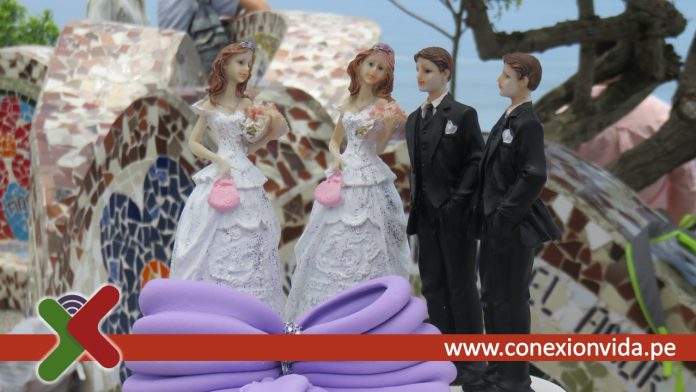 Desde hace 20 años colectivos LGTBI exigen reconocimiento de matrimonio igualitario en el Perú / Conexión Vida