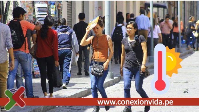 recomendaciones contra ola de calor