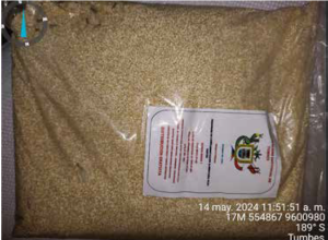 Azúcar con gorgojos, lleva el sello del municipio de Tumbes. Foto/ Diario Tumpis